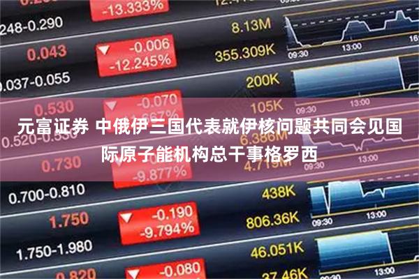 元富证券 中俄伊三国代表就伊核问题共同会见国际原子能机构总干事格罗西