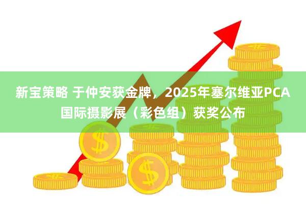 新宝策略 于仲安获金牌，2025年塞尔维亚PCA国际摄影展（彩色组）获奖公布