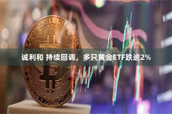 诚利和 持续回调，多只黄金ETF跌逾2%
