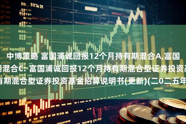 中博策略 富国浦诚回报12个月持有期混合A,富国浦诚回报12个月持有期混合C: 富国浦诚回报12个月持有期混合型证券投资基金招募说明书(更新)(二0二五年第一号)