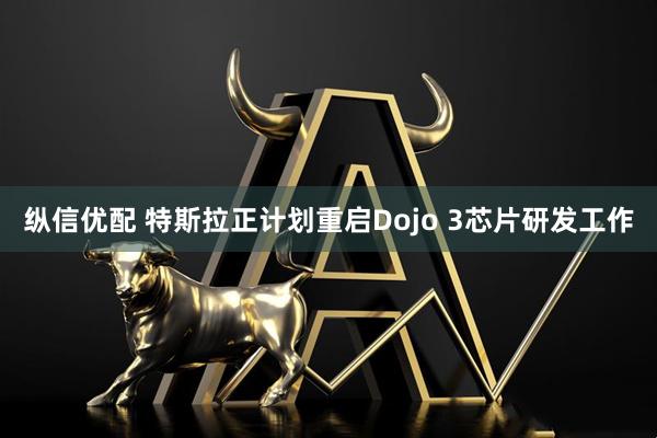 纵信优配 特斯拉正计划重启Dojo 3芯片研发工作