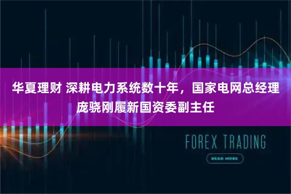 华夏理财 深耕电力系统数十年，国家电网总经理庞骁刚履新国资委副主任